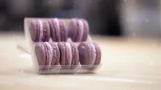 UM Campus Dining's Bear Claw Bakery: French Macarons
