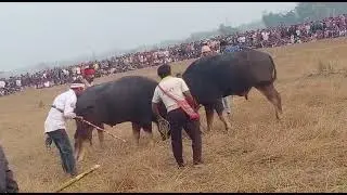 #morigaon #Barangabari #Moh #juj 😀❤