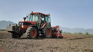 Σπορά βαμβακιού 2021