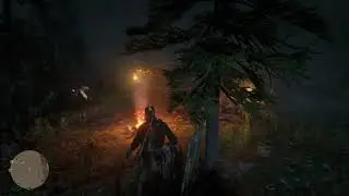 Red Dead Redemption 2 - Stranger Offers Camp: Respond Positively 