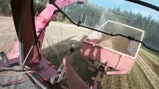 KOKOVILJAREHUN  TEKOA NIITTOSIPUURILLA