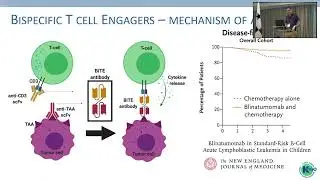 Debate 3, Part 1 - KDIGO B Cell Controversies Conference Plenary