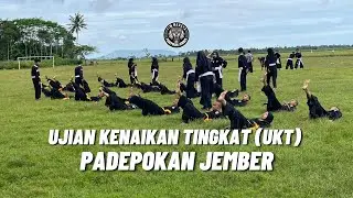 UJIAN KENAIKAN TINGKAT (UKT) | PADEPOKAN JEMBER | 2 JULI 2023 | DOKUMENTASI