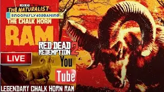 🐏💥RED DEAD REDEMPTION 2 | LEGENDARY CHALK HORN🐏 RAM |BOUNTIES , MOONSHINE   #SNOOPAFY408GAMING #RDR