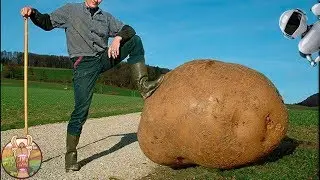LES 10 RECORDS GUINNESS LES PLUS INCROYABLES DU MONDE | Lama Fach&eacute;