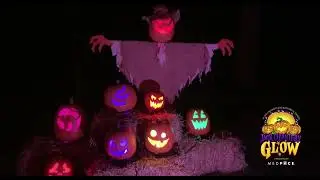 Jack O Lantern Glow - Cincinnati Zoo