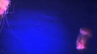 RADIOHEAD-GiveUpTheGhost
