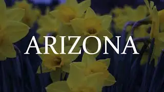ARIZONA - Short Film