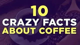 10 Crazy Facts About Coffee