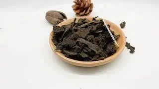 Scrophularia, 玄参, xuan shen, Chinese figwort, figwort, scrophularia ningpoensis