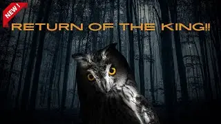 Beer Of The Year Again?? LHG - King Of The Woodland - Imperial Stout #beerreview #craftbeer #stout