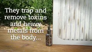 Liquid Zeolite Detox | Heavy Metal Detox Using Liquid Zeolite Drops