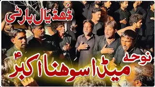 Meda Sohna Akbar A.S | Dhudial Party Live New Noha 2020 in Faisalabad.