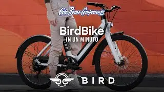 BirdBike in 1 minuto!