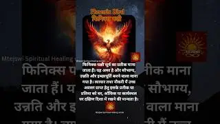 #birds #phoenix #symbols #viralreels #shortsvideo #astrology #latest #dailyvlog #tarot #life #love