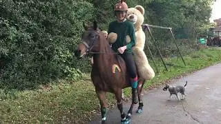 RIDING WITH A GIANT TEDDY BEAR - 7/10/17