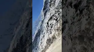 snow clad