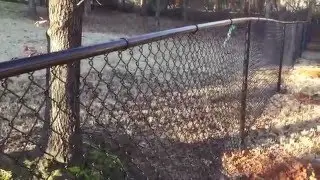 4' Black vinyl coated chain link installation