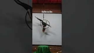 Красивые шпагаты на лире #шпагат #воздушный #воздушныйобруч #лира