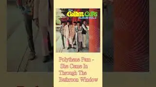 Polythene Pam - She Came in Through The Bathroom Window   / The Golden Cups