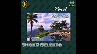 Pon A Hill Side - Dancehall Mix