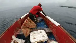 fish traps fishing in jamaica (episode 3) huge catch 🐟..must watch
