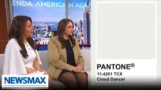 &laquo;Это никак не связано с расизмом&raquo;: Вудленд о цвете года Pantone 2026