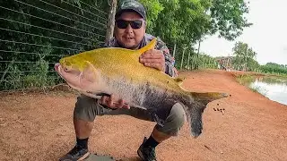 Dia de pesca!  Pesqueiro Tchunay moeu!