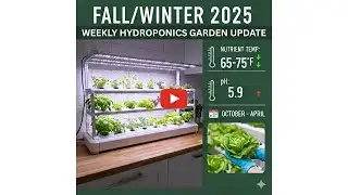 💧 One Week Hydroponics Garden Update: Fall/Winter 2025 Grow Season! 🌱