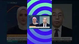 Nemo Money - Crypto Week Fever Drives Bitcoin to Record Highs!