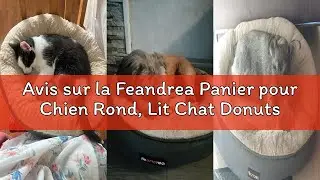 Avis sur la Feandrea Panier pour Chien Rond, Lit Chat Donuts, &oslash; 50 cm, Gris Clair PGW050G01