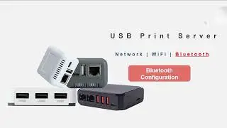 LOYALTY SECU Bluetooth print server configuration guide on Windows 8 Windows 10 Windows 11