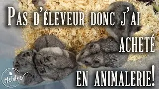 Acheter en animalerie si on n'a pas le choix?