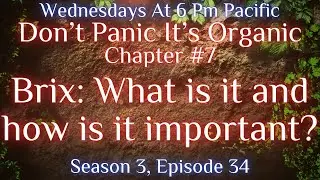 Brix: What is it and how is it important?