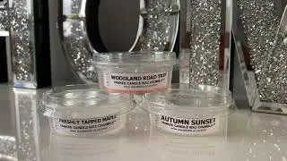 NEW Yankee Candle Review: Woodland Road Trip Collection