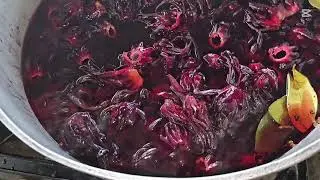 Приготовление лапши с щавелем и тушеной курицей.