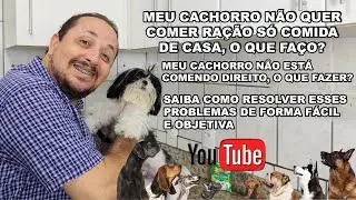 Meu cachorro não quer comer ração só comida, meu cachorro não está comendo, o que devo fazer?