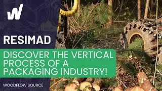 From Forest to Sawmill: Resimad's Quality Wood Packaging Process