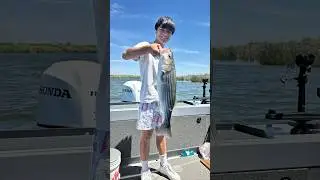 Back On the DELTA | Catching Stripers #fishing #spring