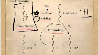 F.7 Oxidative Rancidity