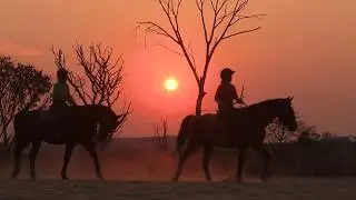 Horizon Horseback Polocrosse Sunset