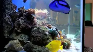 Tennenti Tang