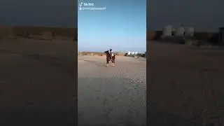 Nasar Mahmood jutt on horse