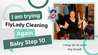 FlyLady Baby Step 10 | 15 Minute Declutter | Does FlyLady Cleaning Work? | Entry Closet Declutter
