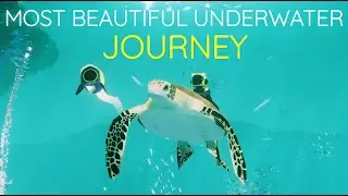 This Was My MOST BEAUTIFUL UNDERWATER JOURNEY | Abzu - Part 2