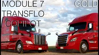 Module 7 of gold Transflo copilot