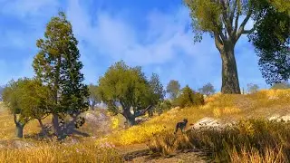 Reading Elder Scrolls Lore [4]: Of Pirate Queens and Gold Coasts