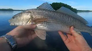 Matlacha Fl. Fishing low tide holes for Redfish and Trout