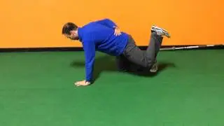 Functional Integrated Training: Quadruped Hip Extension
