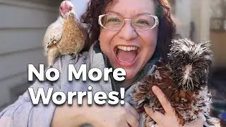 Become a CONFIDENT Chicken Keeper with This SIMPLE Step 🎓🐔❤️